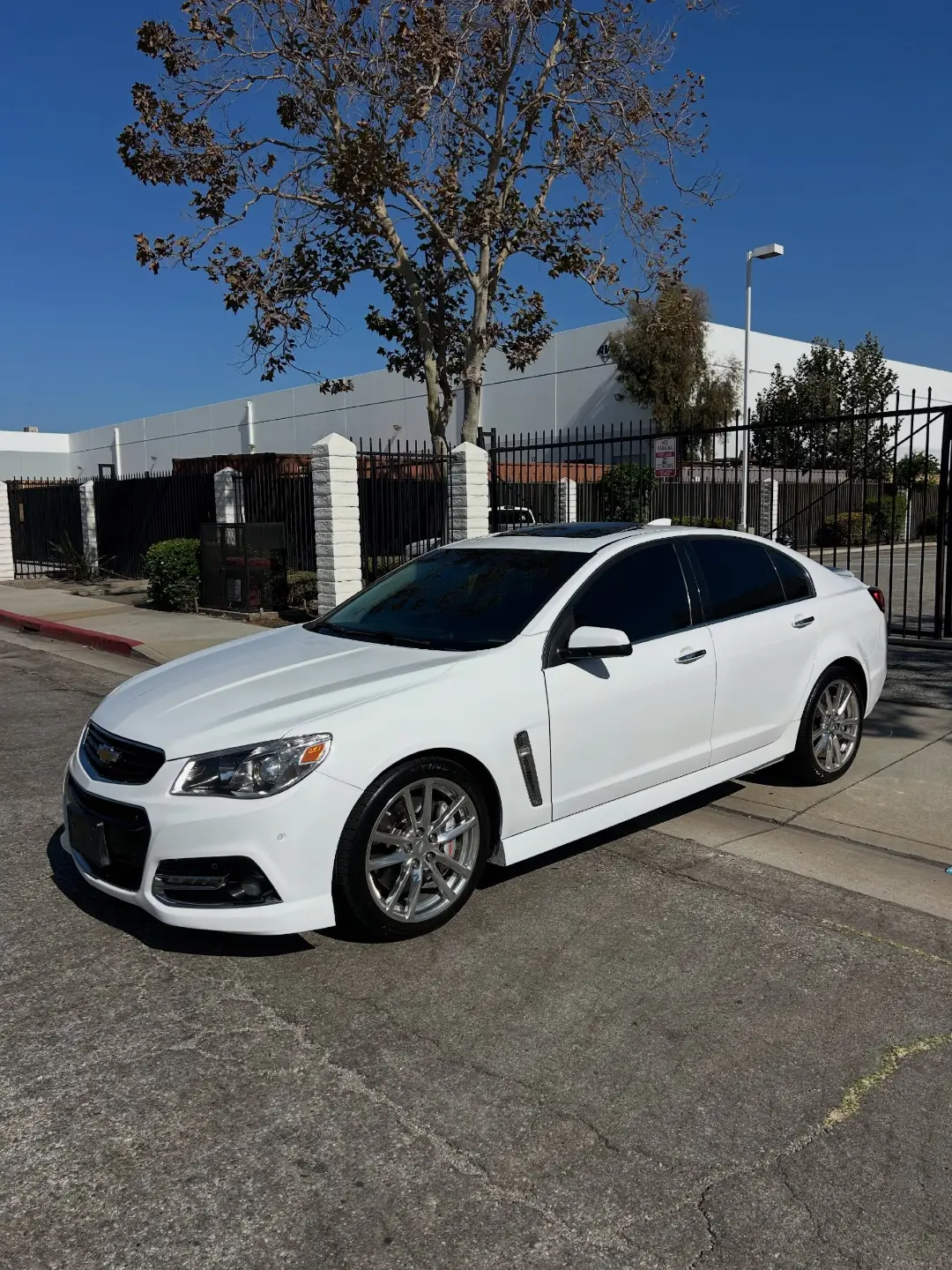 Heron White Chevrolet SS Sedan