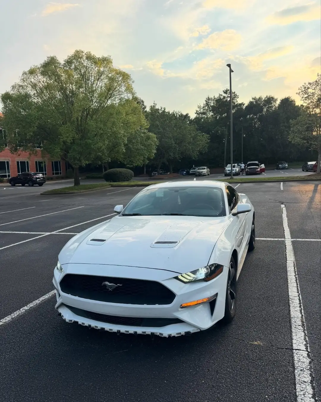 White Ford Mustang EcoBoost
