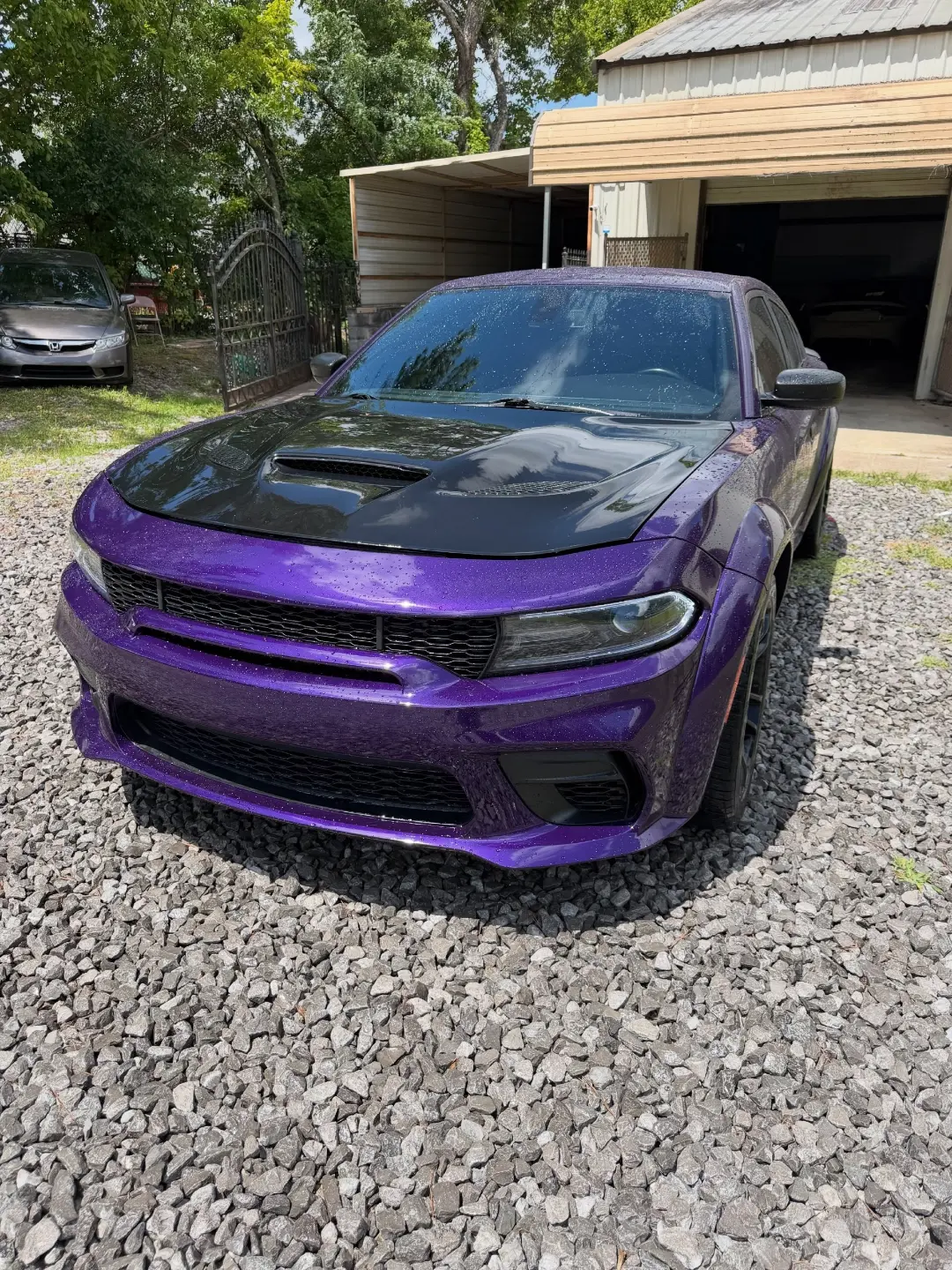 Purple Dodge Charger Scat Pack Widebody