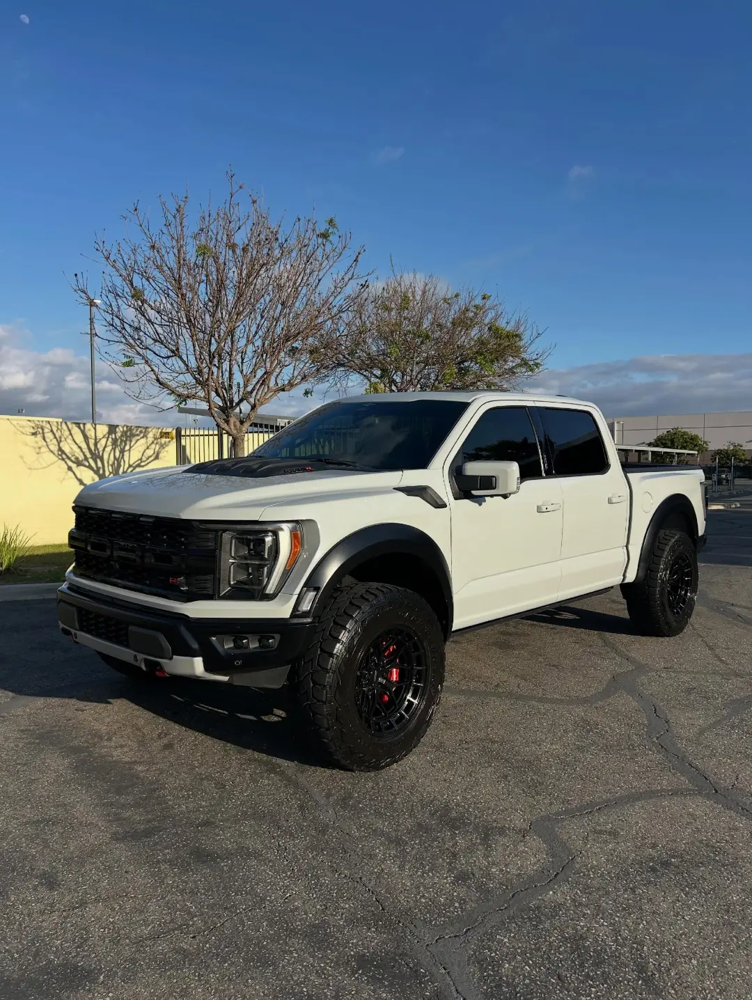 Avalanche Gray Ford F-150 Raptor R SuperCrew