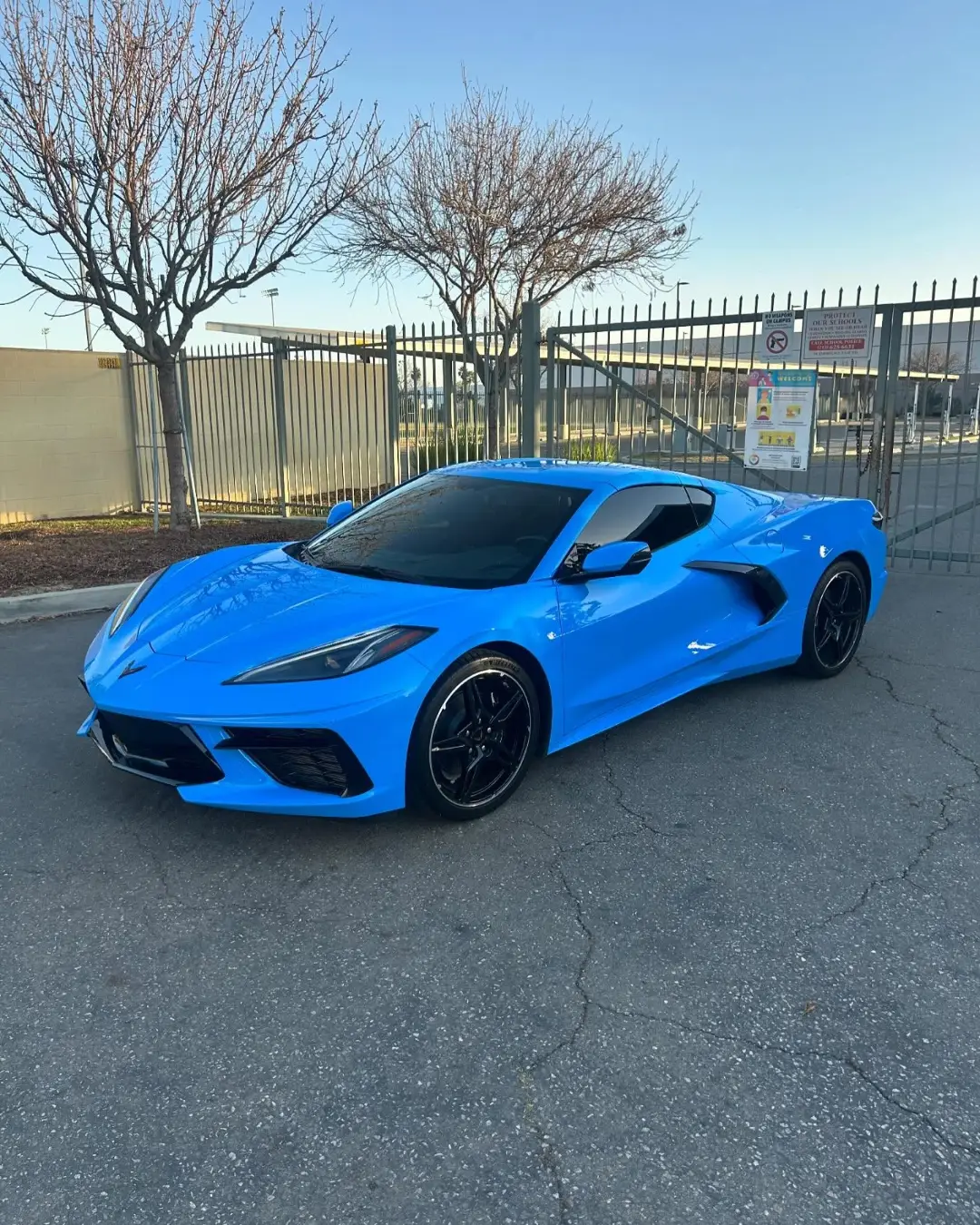 Blue Chevrolet Corvette Stingray