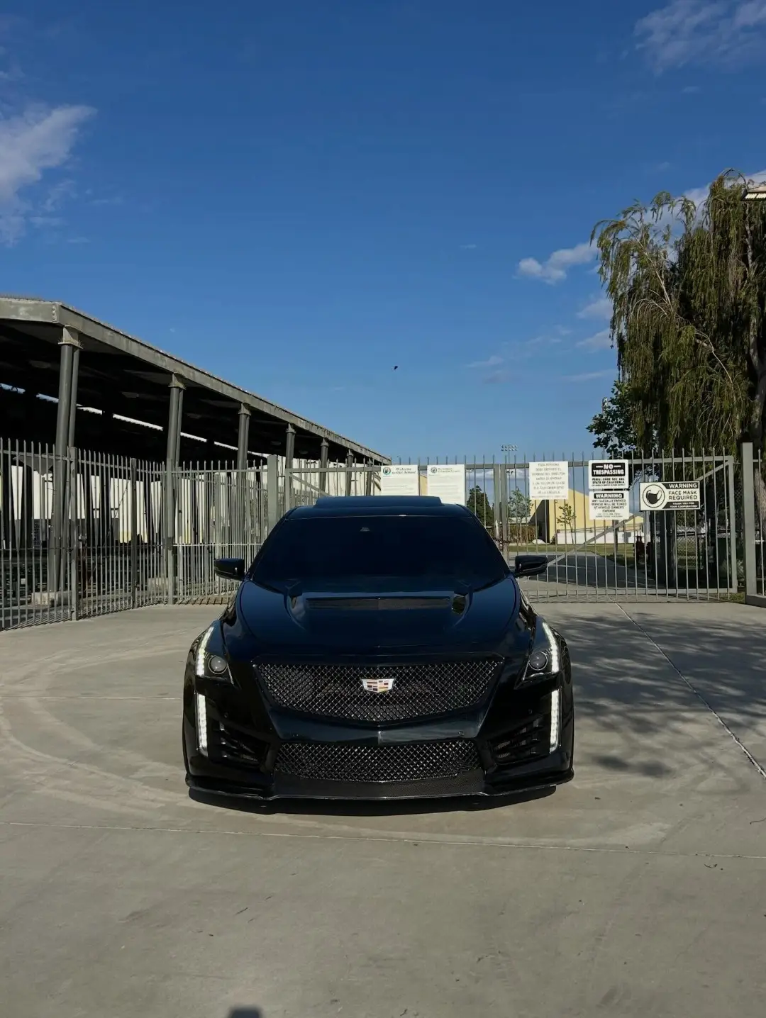 Cadillac CTS-V gallery photo 8