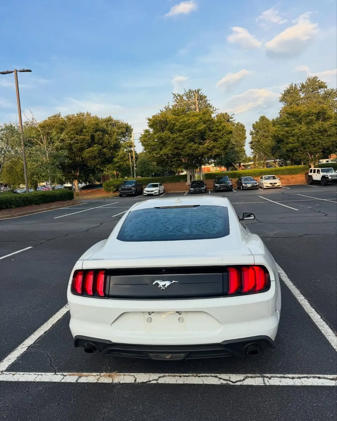 Ford Mustang EcoBoost gallery photo 3