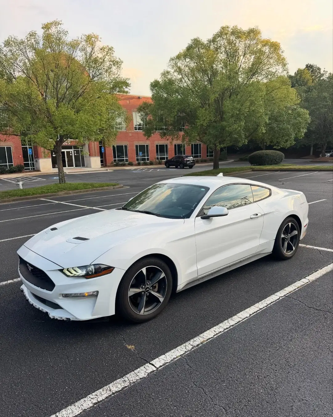 Ford Mustang EcoBoost gallery photo 4