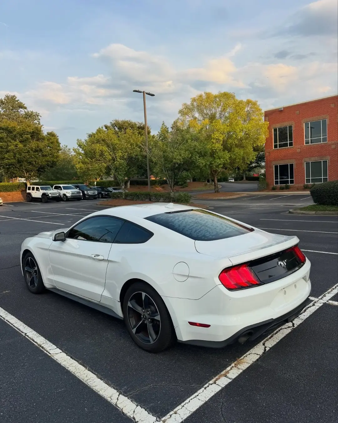 Ford Mustang EcoBoost gallery photo 5