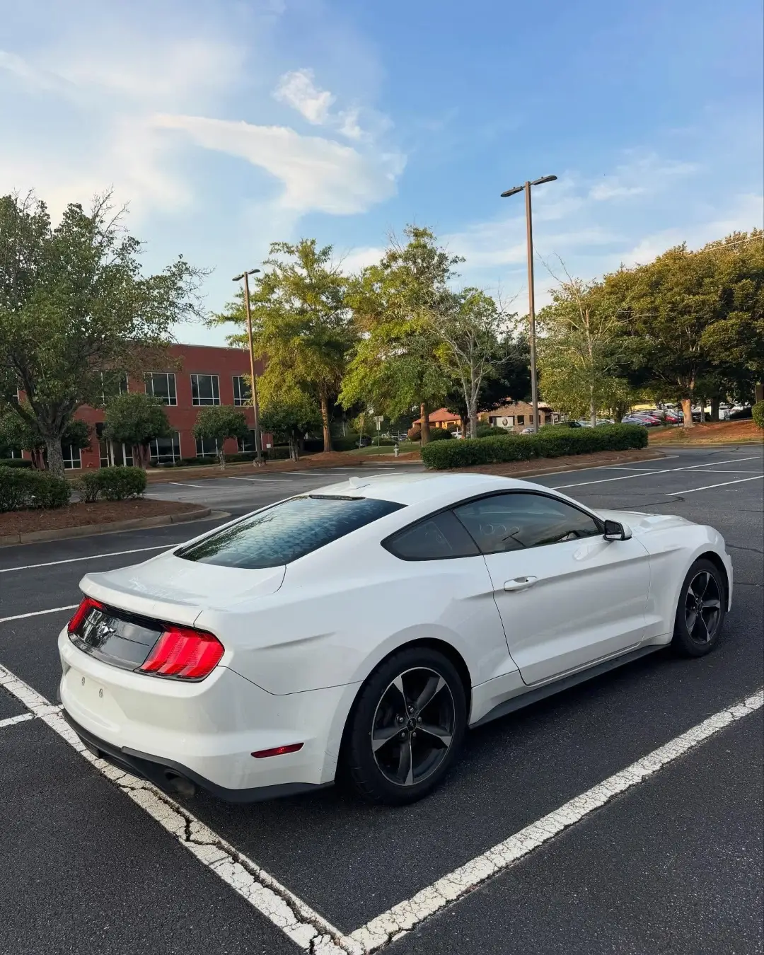 Ford Mustang EcoBoost gallery photo 6