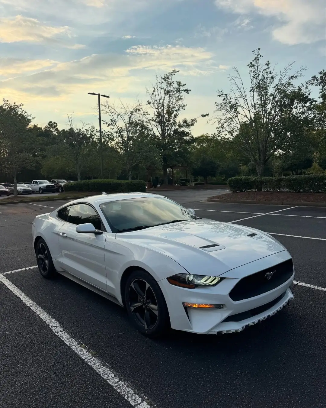 Ford Mustang EcoBoost gallery photo 7