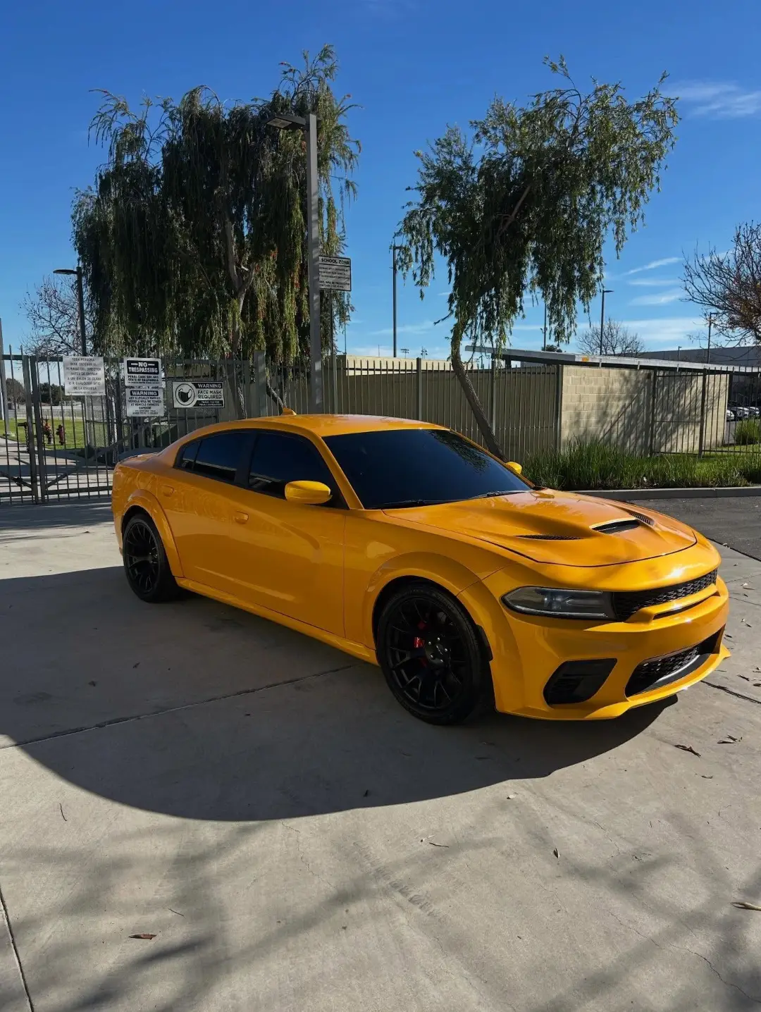 Dodge Charger Scat Pack Widebody Conversion gallery photo 2