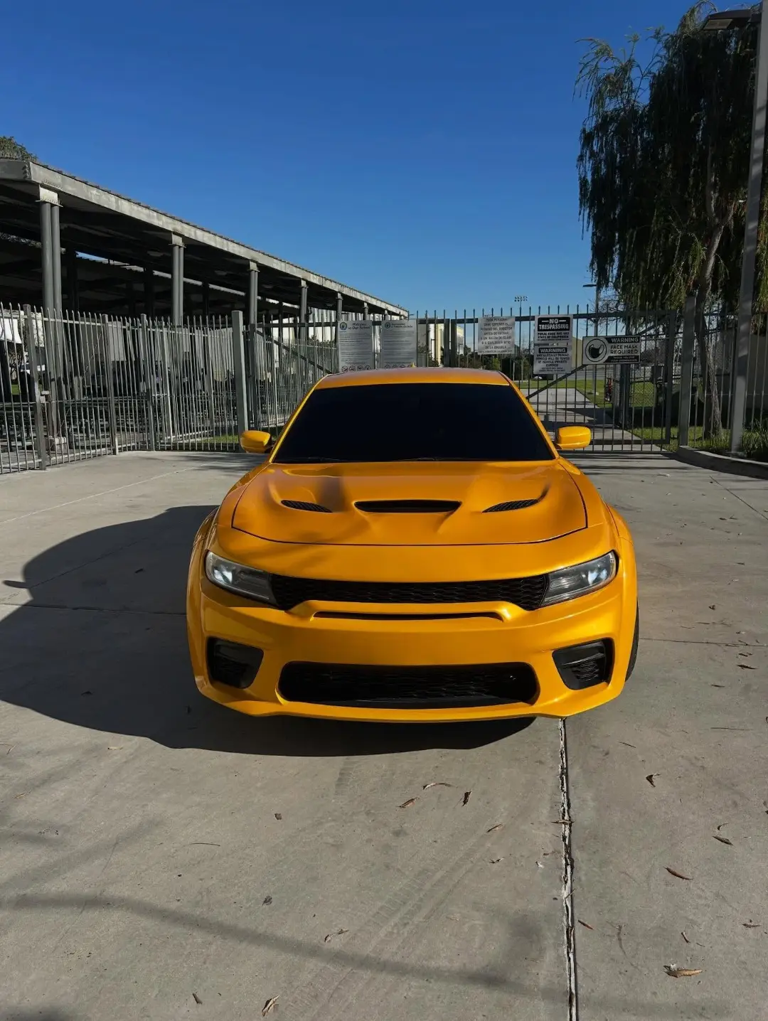 Dodge Charger Scat Pack Widebody Conversion gallery photo 3